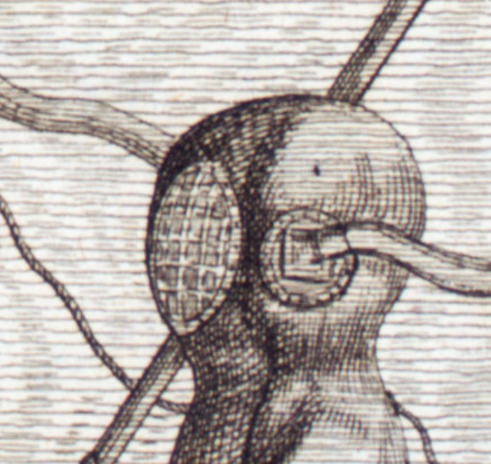 Die Form des Kopfteils ist widersprüchlich dargestellt. In dieser Unterwasserszene sieht es mehr oder weniger kugelförmig wie ein Taucherhelm aus.  Das Schnittmuster könne aussehen wie die Papierteile eines Globus.