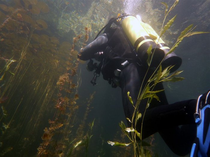 P1000469.JPG (104.69 KiB) 1997 mal betrachtet Auf Motivsuche